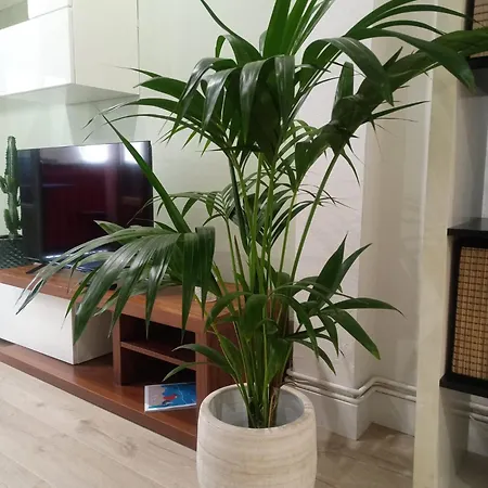 Apartmán Casco Viejo, Tranquilo, Reformado, A Pie Bilbao