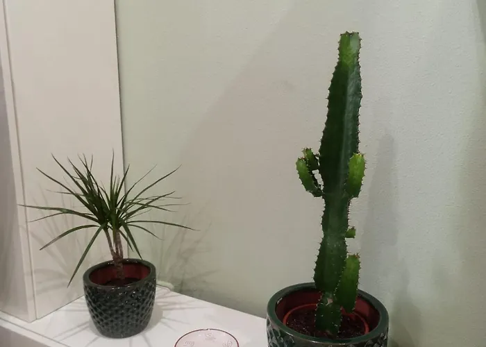 Casco Viejo, Tranquilo, Reformado, A Pie * Bilbao