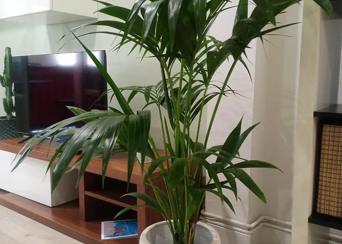 Apartamento Casco Viejo, Tranquilo, Reformado, A Pie Bilbao